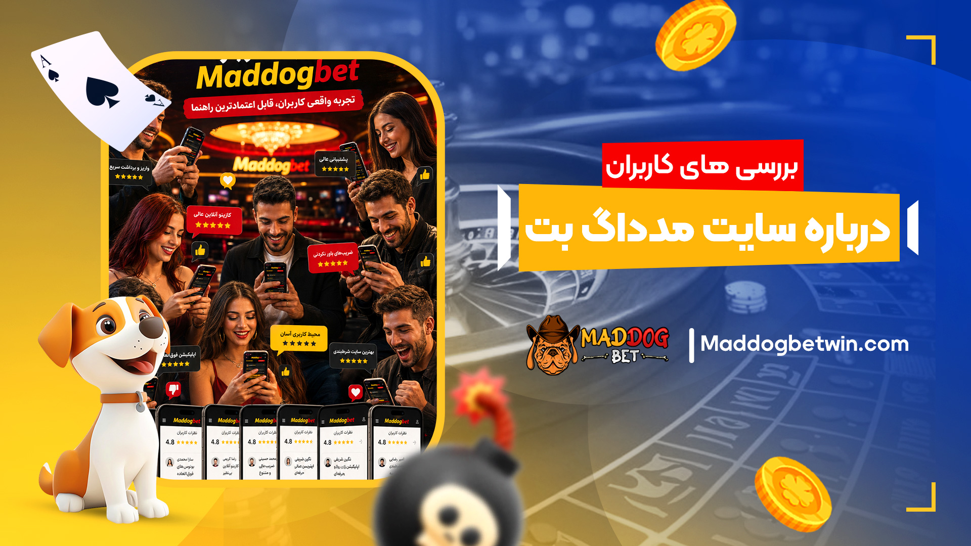بررسی-های-کاربران-درباره-سایت-مدداگ-بت